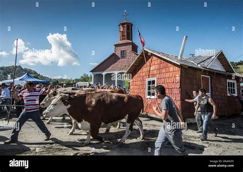 Minga in Chiloé, Chile. Liucura, island of Lemuy, archipelago of Chiloé. Testimony of the ...