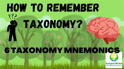 6 ways to remember taxonomic hierarchy | Taxonomy | Biology Mnemonic in Hindi | Biology short ...