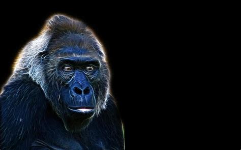 Gorilla Art HD desktop wallpaper : Widescreen : High Definition ...