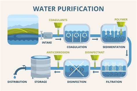 Stages of Purification Process