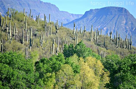 Cave Creek, AZ Visit | Arizona photography, Cave creek, Cave creek arizona