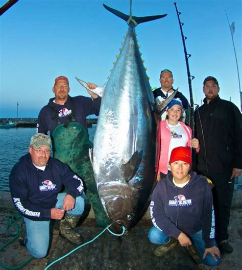 International Fishing News: CANADA: caught record size blufin tuna