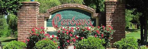 The 10 Best Restaurants In Cordova, Tennessee