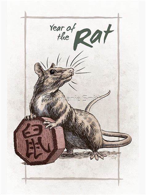 Chinese Zodiac - Year of the Rat Art Board Print by Stephanie Smith | Zodiac years, Chinese art ...