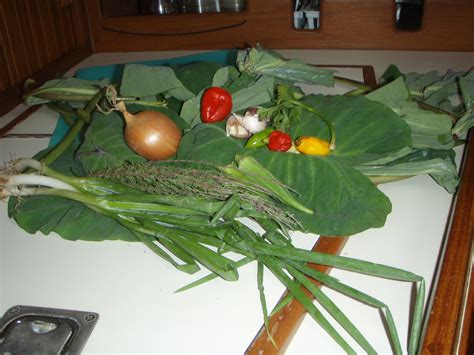 Ann’s Callaloo Soup – Amy Cotler