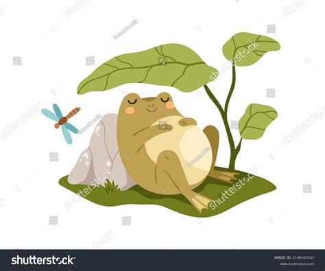 Cute Frog Sleeping Under Leaf Funny Stock Vector (Royalty Free ...