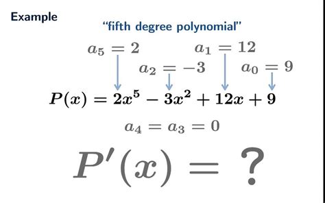 The derivative of a polynomial function - YouTube