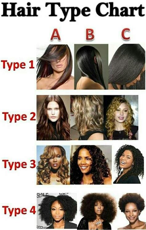 79 Ideas What Are The Different Hair Types With Pictures For Hair Ideas - The Ultimate Guide to ...