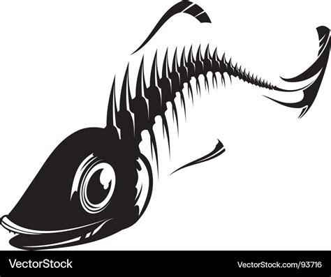 Fish skeleton Royalty Free Vector Image - VectorStock