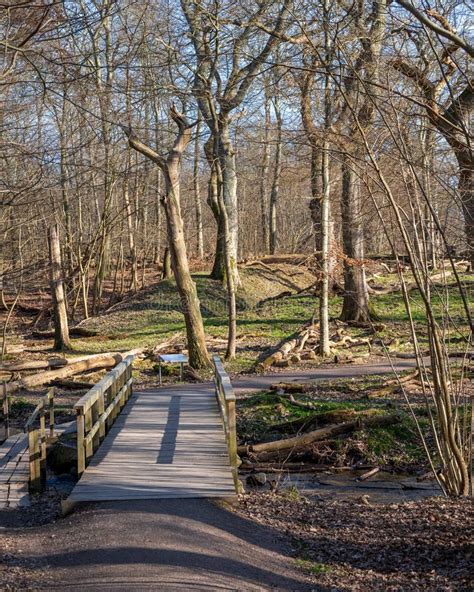 Bridge Over Small Stream in Swedens Smallest National Park Dalby ...