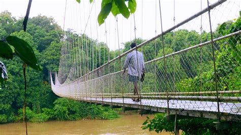 Nilambur in Malappuram | District of Malappuram | Malabar, Kerala