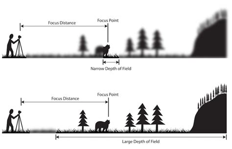 Rules of Shot Composition in Film: A Definitive Guide