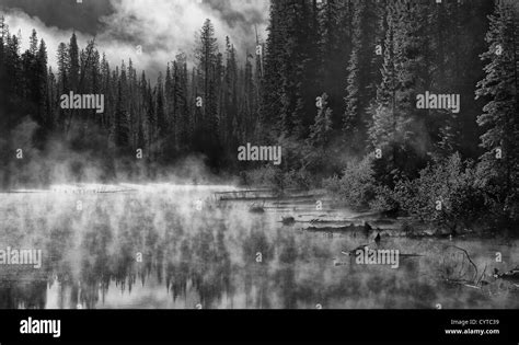 Morning Mist over Mountain Lake Stock Photo - Alamy