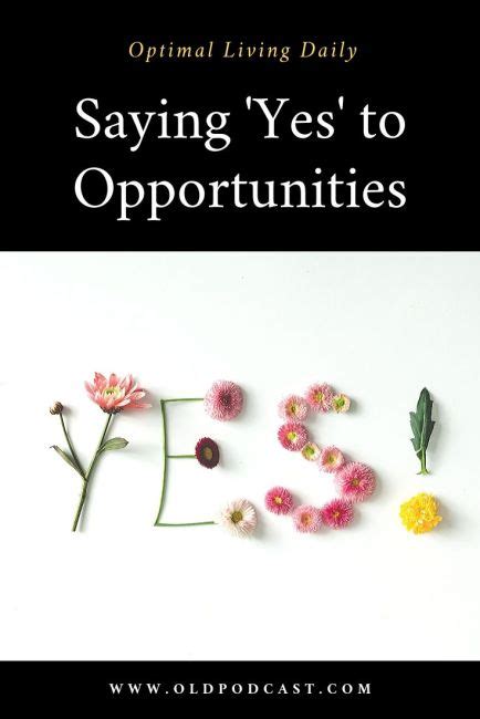 Saying 'Yes' to Opportunities - Optimal Living Daily