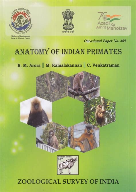 Anatomy of Indian Primates | NHBS Academic & Professional Books