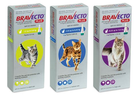 Bravecto Spot On PLUS for Cats - Kamo Veterinary Limited