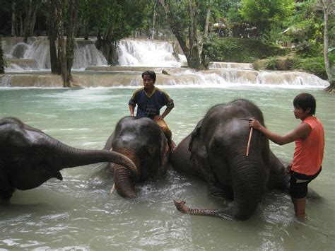 Tad Sae Waterfall, Laos | Water wonders, Laos, Vietnam