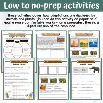 Plant & Animal Adaptations: 5th Grade Life Science - ACTIVITIES ...