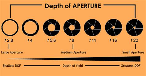 Everything you should know about Aperture