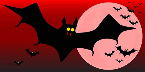 Vampire Bat Head Mascot Artwork Sporting White Winged Vampire Bat ...