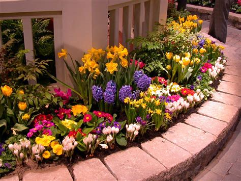 Amy's Top 10 Flower Bed Picks | Small flower gardens, Flower garden ...