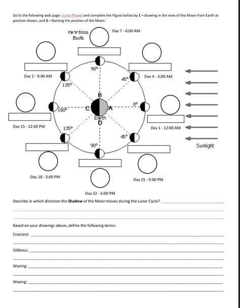 ️Moon Phases And Tides Worksheet Free Download| Goodimg.co