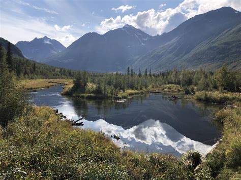 A nice day at the Eagle River Nature Center. : r/anchorage