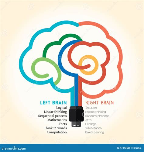 Left Right Brain Function Creative Concept Illustration Stock Vector - Image: 47343586