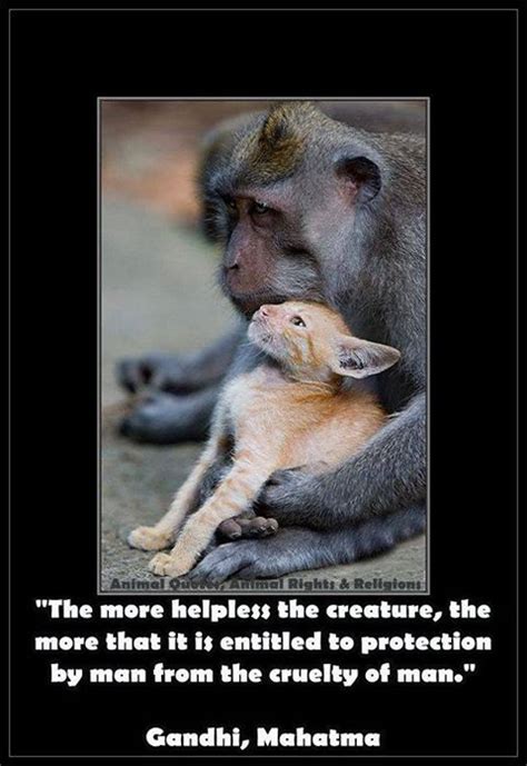 Helping Animals Quotes. QuotesGram