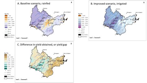 Current climate: simulated maize yield under A. rainfed and B ...