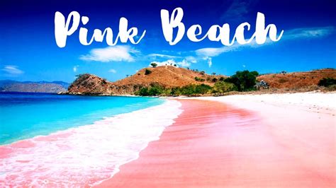 Top 10 Best Pink Beaches In The World 2020 - YouTube