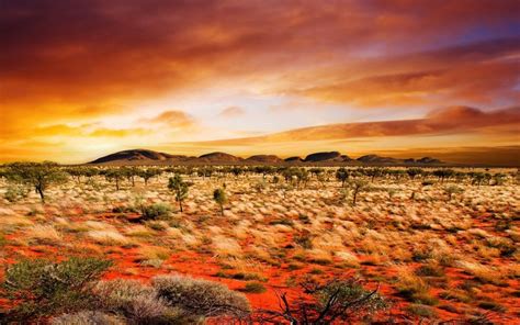 Australian Desert | Australia landscape, Landscape wallpaper, Desert ...