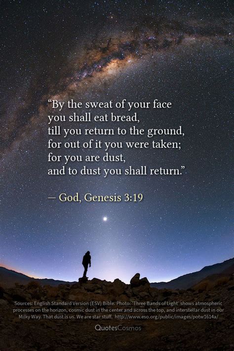 Genesis 3:19 “and to dust you shall return”: Translation, Meaning, Context