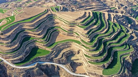 Waves of terraced fields on north China's Loess Plateau - CGTN