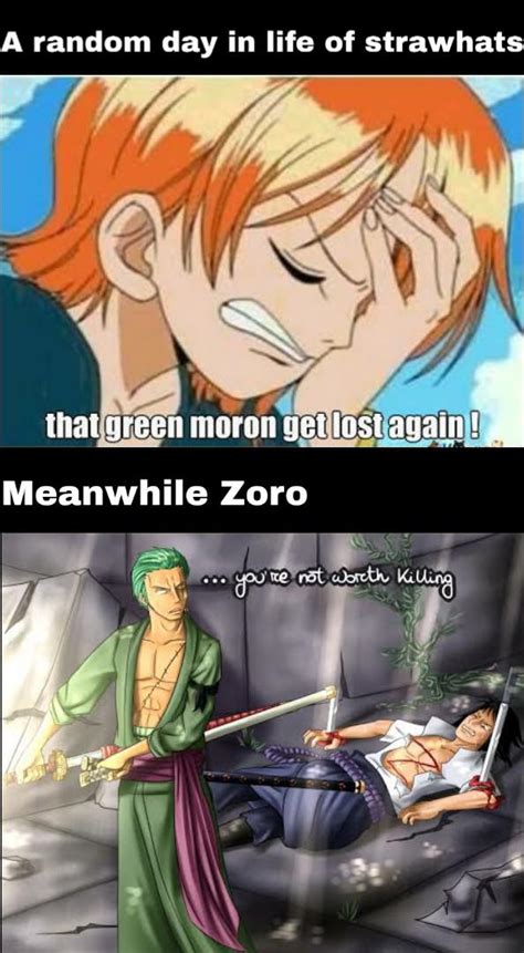 Zoro accidently went into a different universe : r/MemePiece