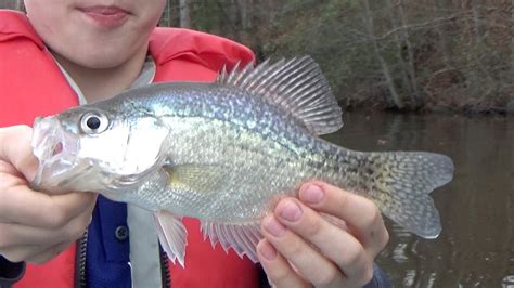 Winter Fishing in Virginia - YouTube