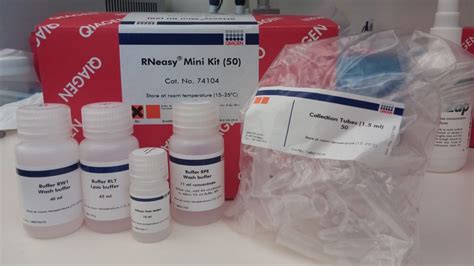 QIAGEN Rneasy mini kit | Nawah Scientific