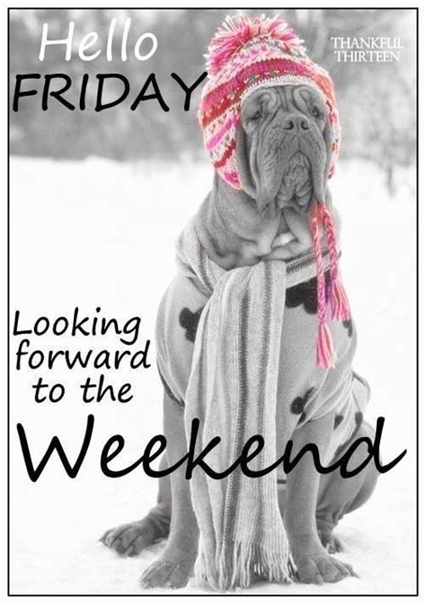 Hello Friday Looking Forward To The weekend quotes friday happy friday ...