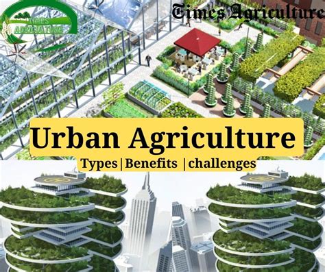 What is Urban Agriculture | Types, Benefits and challenges | Complete ...