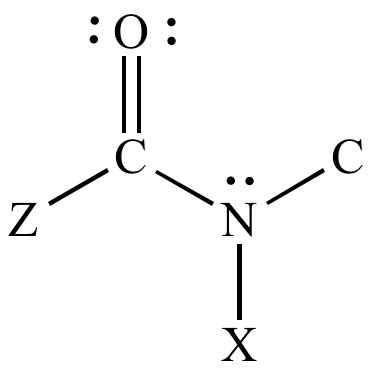 Illustrated Glossary of Organic Chemistry - Secondary amide