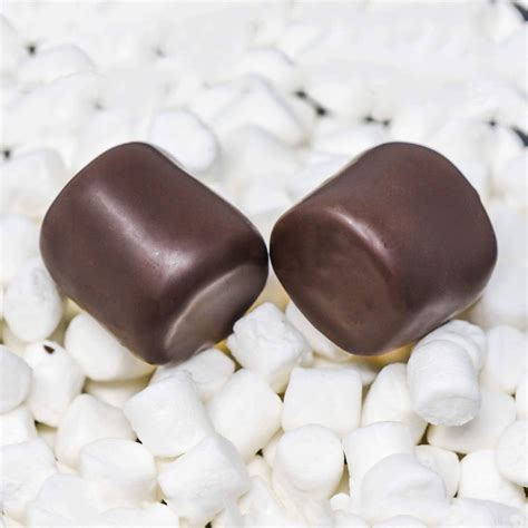 Chocolate Covered Marshmallows (6 count) – Robin's Confections