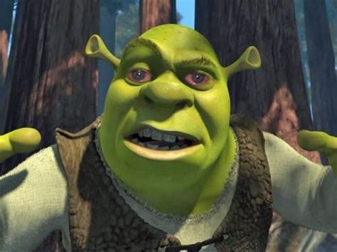 Shrek Crying