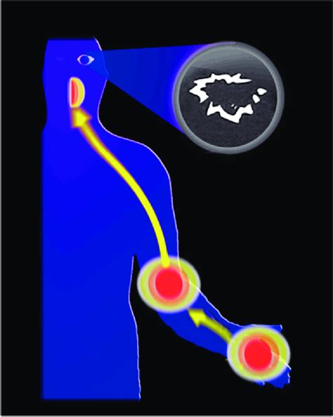 Figure depicts the characteristic fortification spectra and march of... | Download Scientific ...