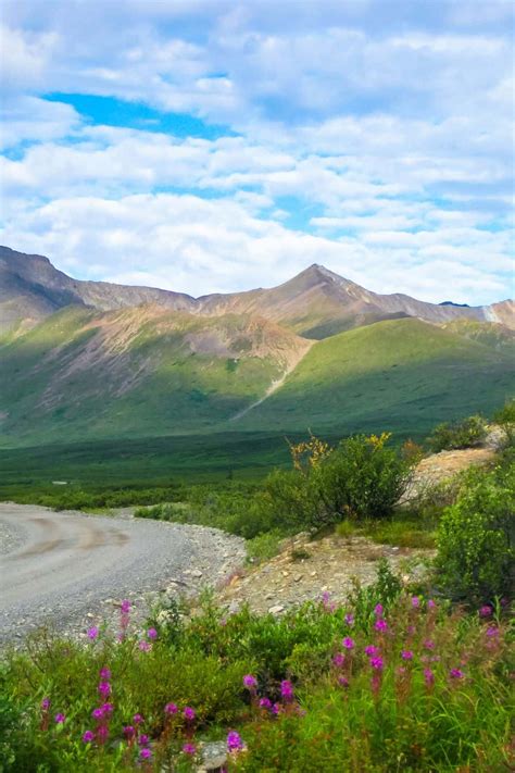 How to get to Denali National Park