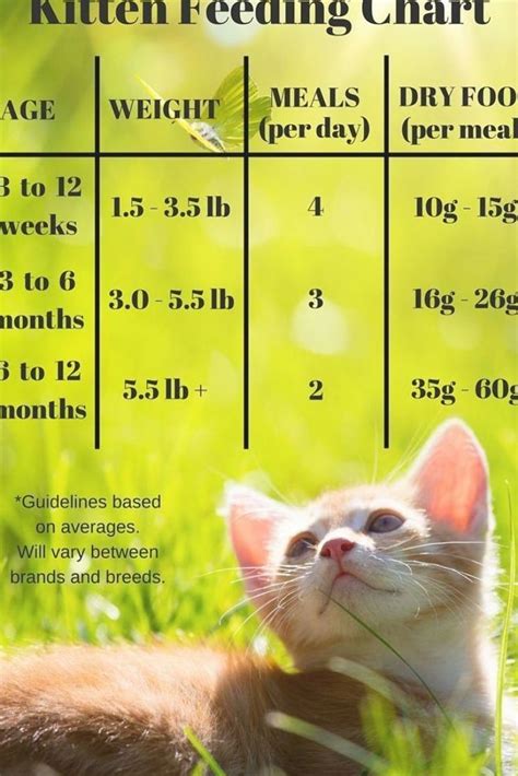 Kitten feeding chart for kittens on a dry food schedule. Quantities of kitten food or kibble to ...