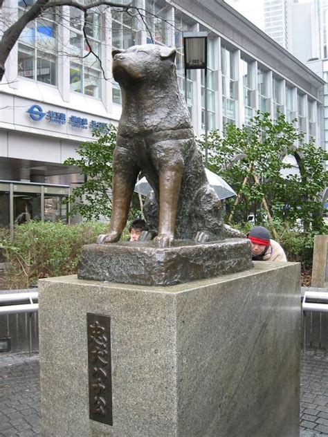 Hachiko statue at Shibuya Train Station in Tokyo. Would love to see this. | Bucket List ...