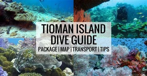 Tioman Diving Guide & Tips: 7 Things To Know Before Your First Dive