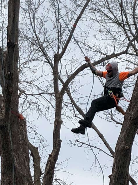 Urban Forestry tree climbing competition-2019 - Pembroke Campus