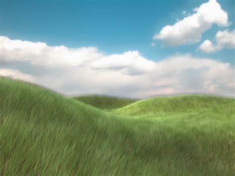 Grassy Meadow by netsui on DeviantArt