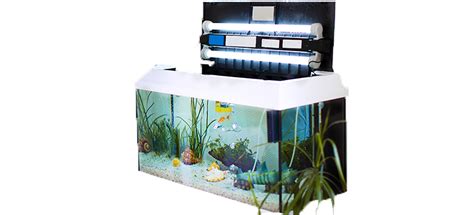 Best Aquarium LED Lighting (Review & Buying Guide) in 2019